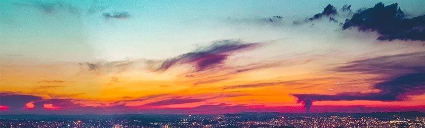 肇庆茶虫网_肇庆品茶